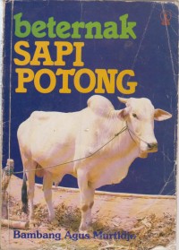 Image of Beternak Sapi Potong