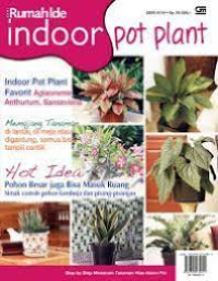 Image of Seri rumah ide : Indoor pot plant