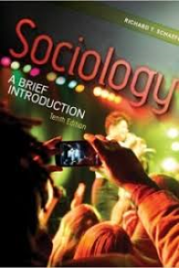 Image of Sociology a brief introduction tenth edition