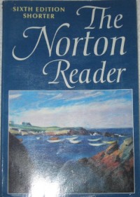 Image of The norton reader